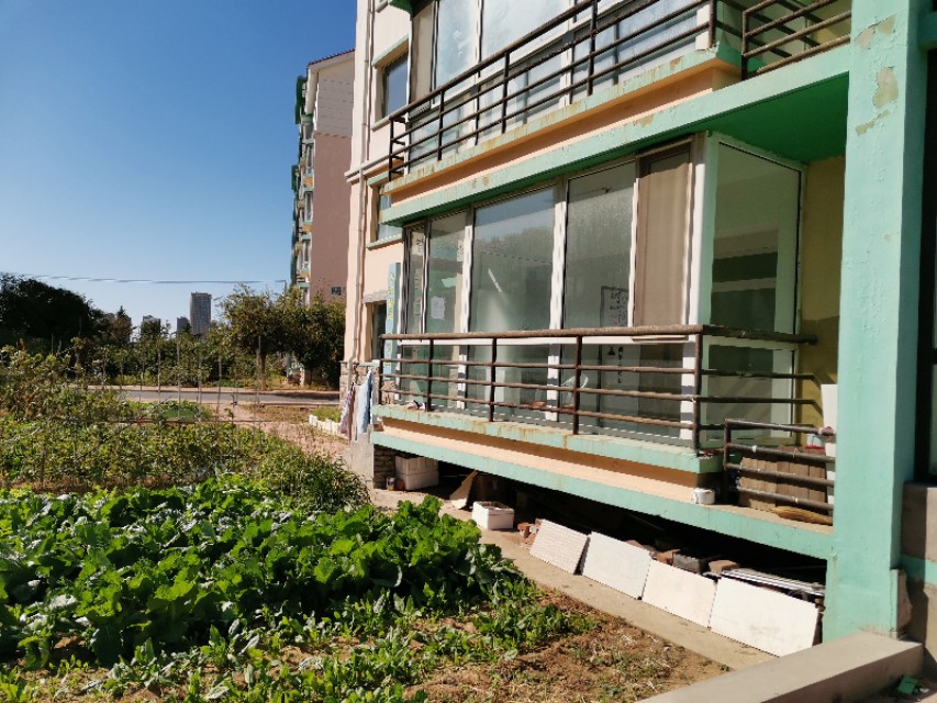 辽宁兴城哪里买房最好,辽宁省兴城市区