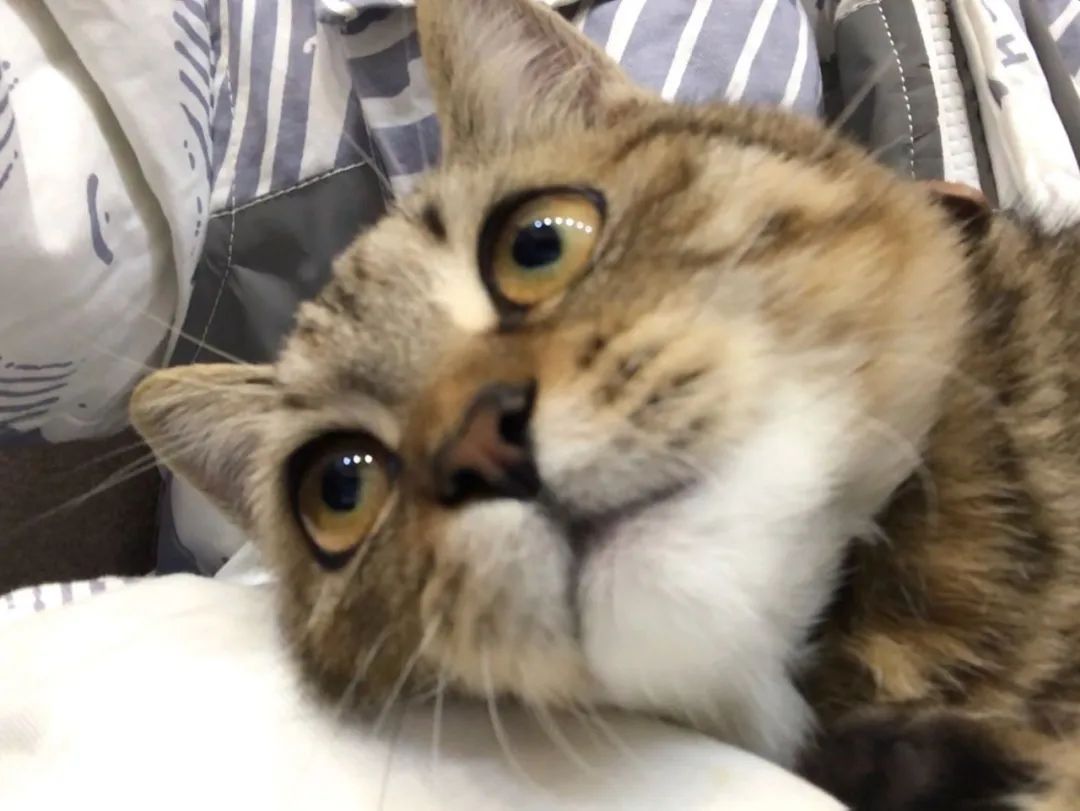 离婚后前夫欠我钱不还怎么要,离婚后前夫给我钱不给怎么办