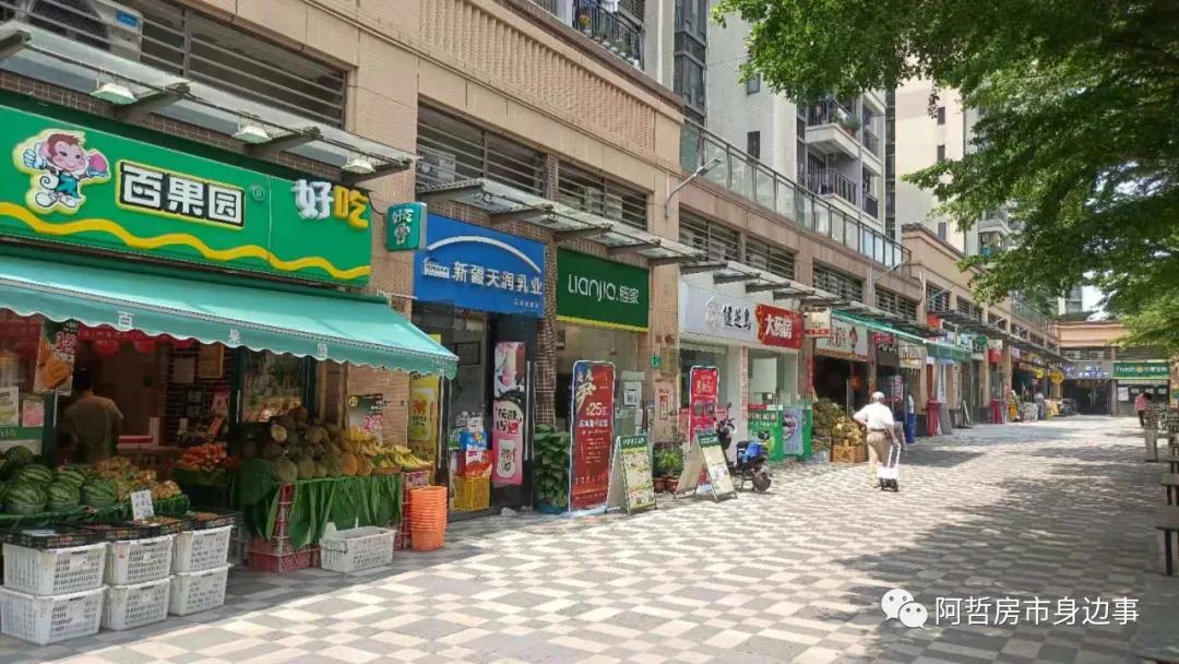 坦尾花语水岸,坦尾地铁站附近的楼盘