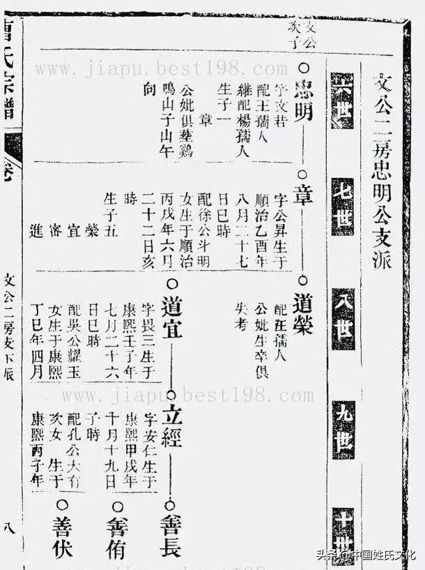 家谱正确编写方法视频,家谱怎么编写简单又好看现代
