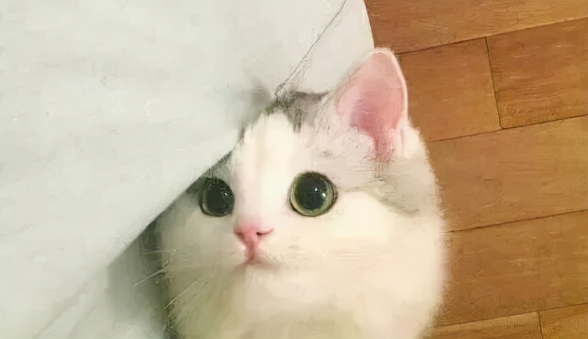 一招教你彻底祛斑,轻松祛斑先养肝