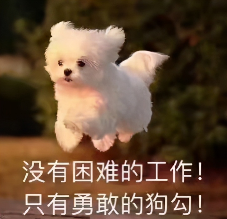 下午三点喝茶的时辰讲求,十一二点为什么不能喝茶