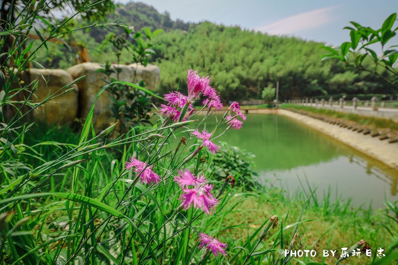 郴州北湖民宿五一假期住,郴州莽山五指峰农家民宿