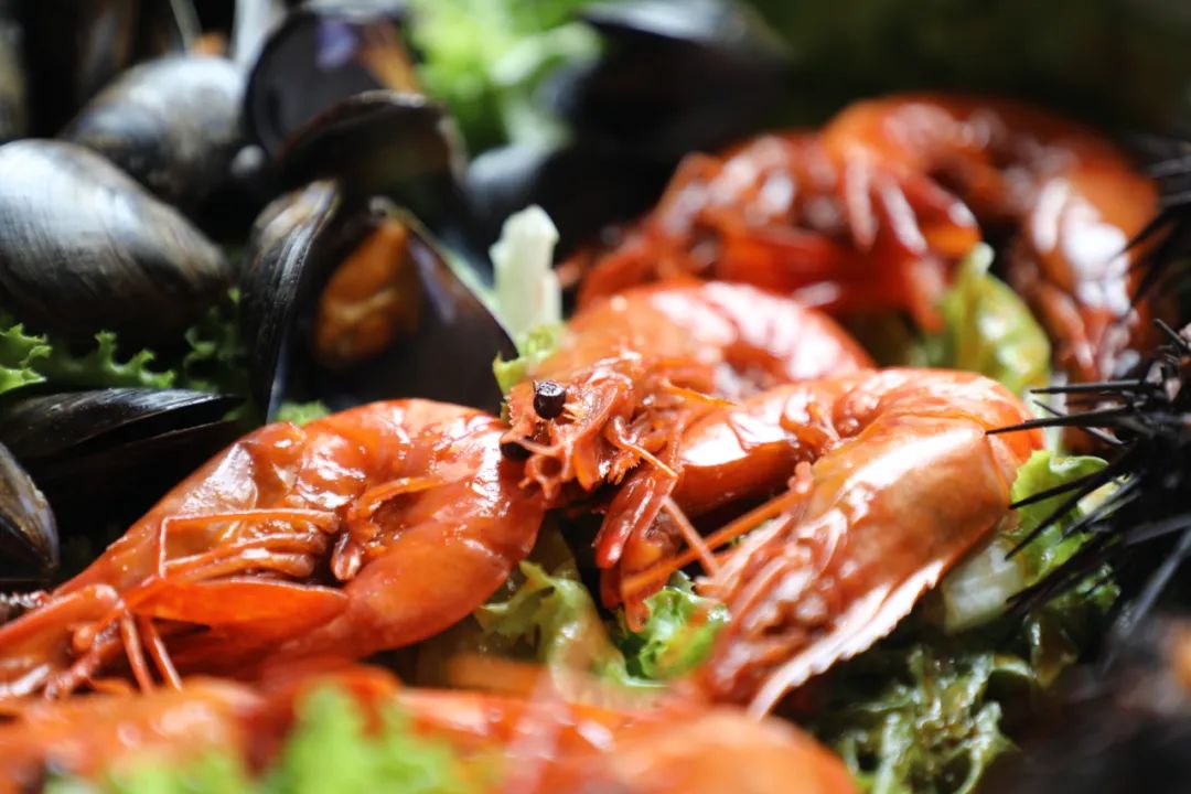 看见美好之境,长岛看见美好之境