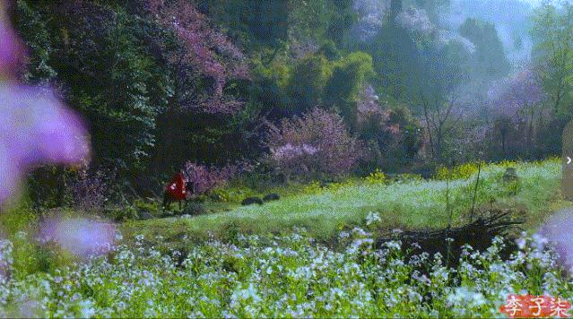 李子柒的鲜花视频,李子柒鲜花宴视频
