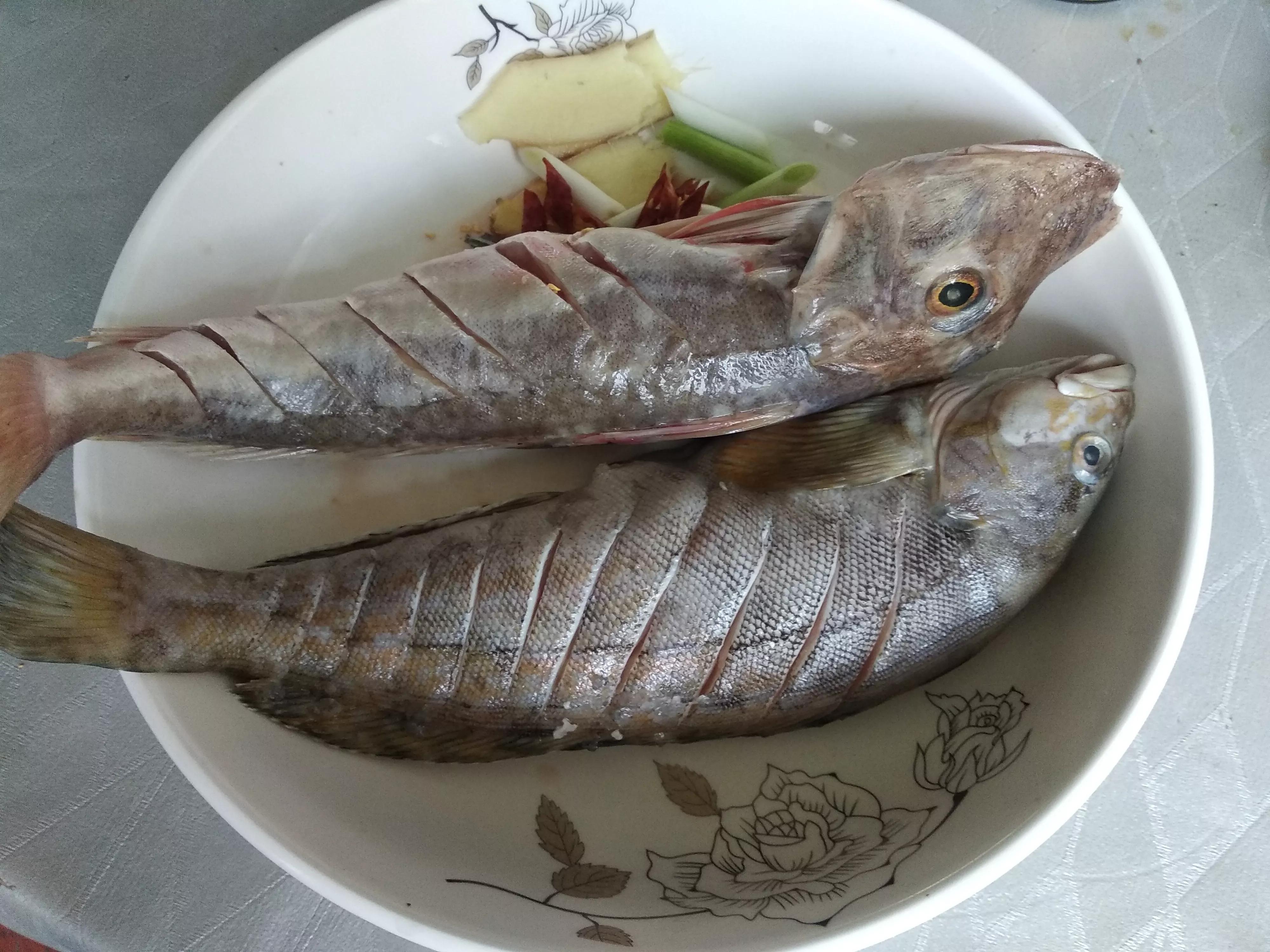 开海了吃什么美食,海边人常吃的40种海鱼