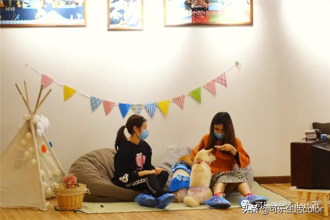 广州撸柴胜地！仲有怀旧零食、游戏室激萌柴犬周边