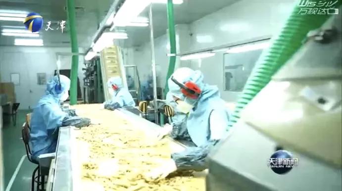 【高新区企业在行动】牛年真牛！盛实百草重点工程项目受天津新闻关注报道！