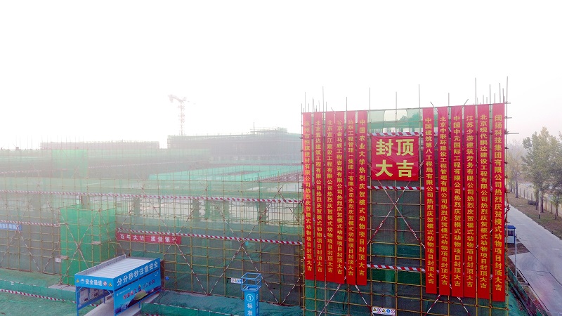 庆祝房建工程封顶完成,主体结构封顶完成工程百分比