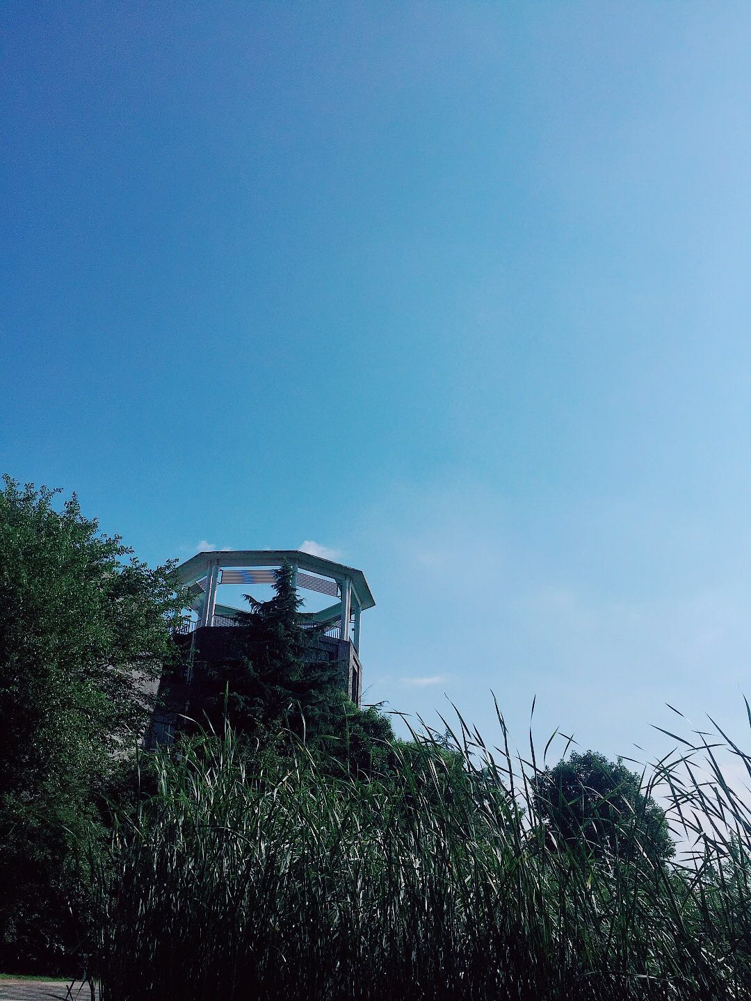 武汉这个美得像城堡一样的大学，你打卡了吗？