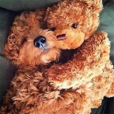 孩纸，妈就稀罕你这点，没人追，还能吹