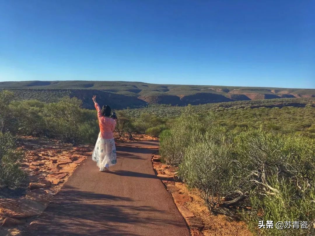 只知道大堡礁？澳大利亚还有这个冷门景点，美得不像地球