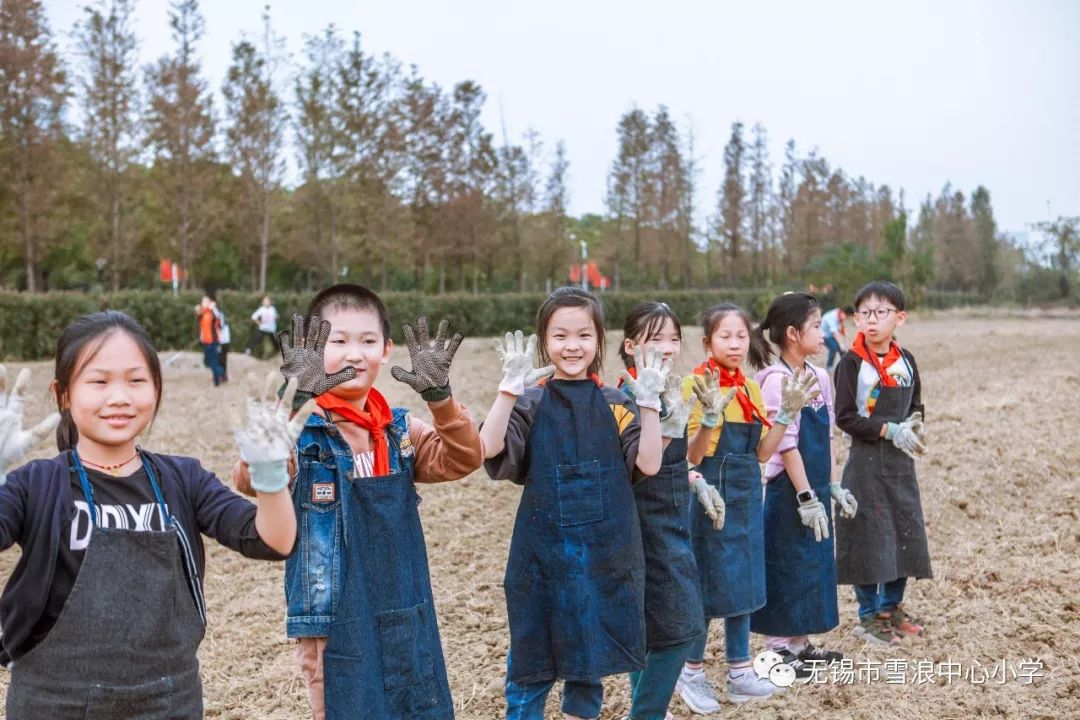 翻地、播种…无锡老小将课堂搬到了田间地头