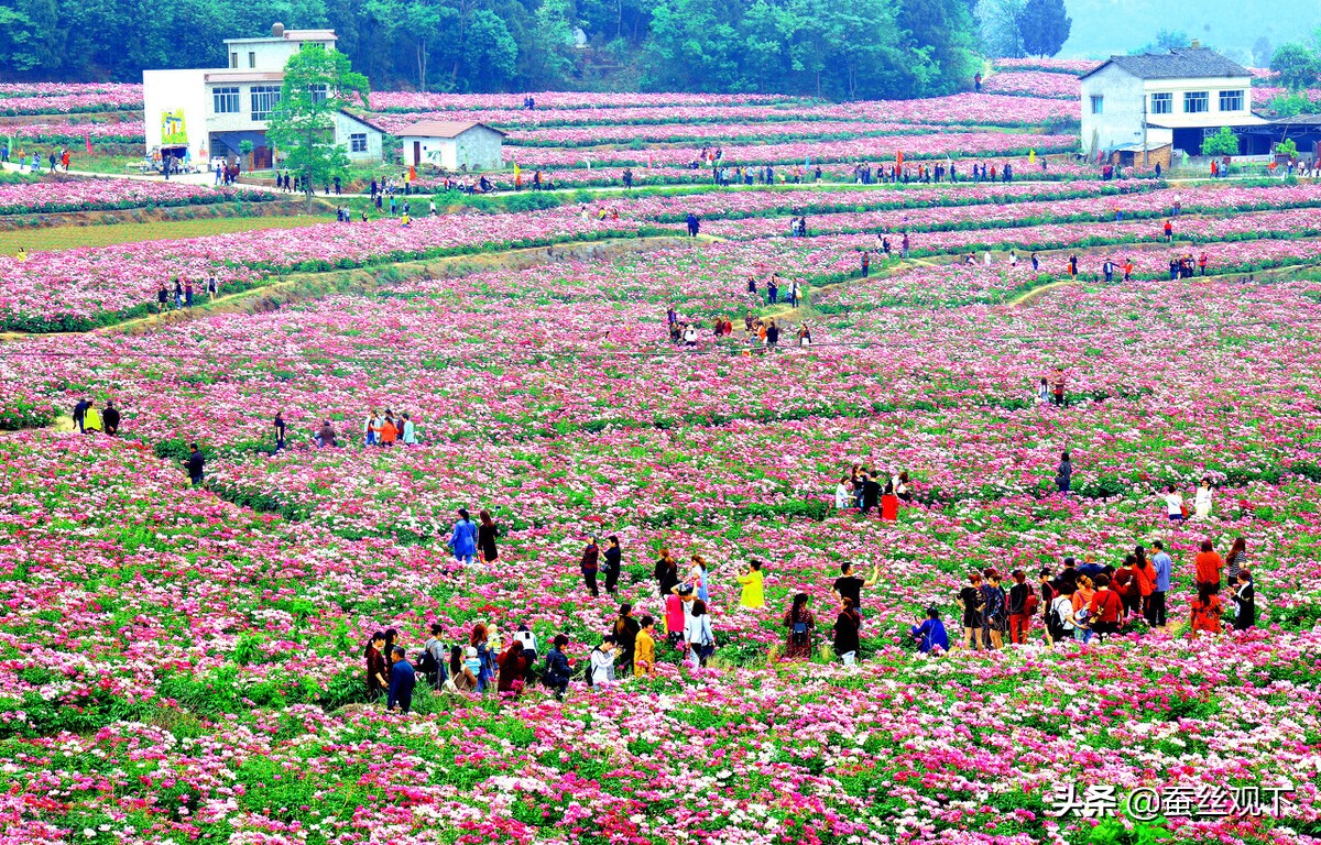 三台和南部县对比,南部县和三台县哪个好