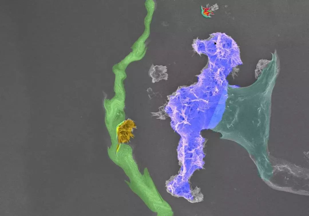 绉戠爺澹佺焊,绉戠爺浜虹殑鏂板勾澹佺焊