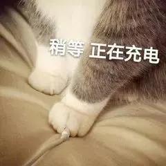 c罗购买的黑色的车 (c罗的车多少元)