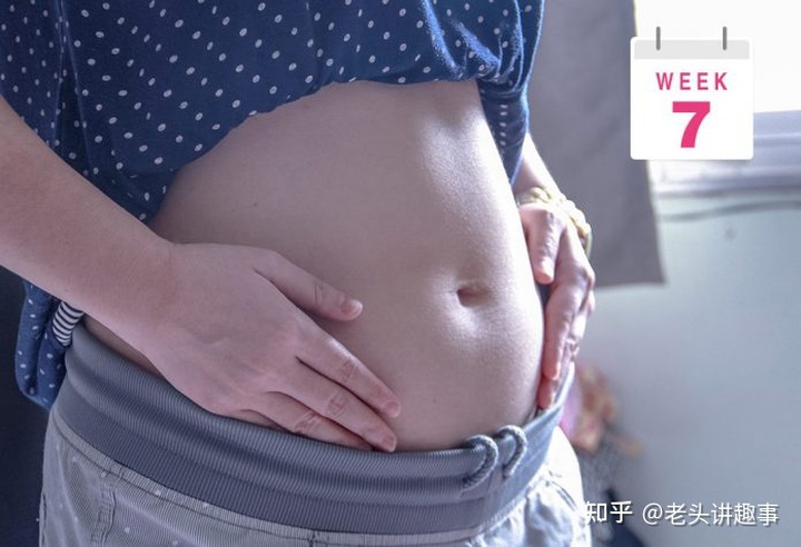 1-40周胎儿发育视频3d,胎儿1-40周发育全过程图解
