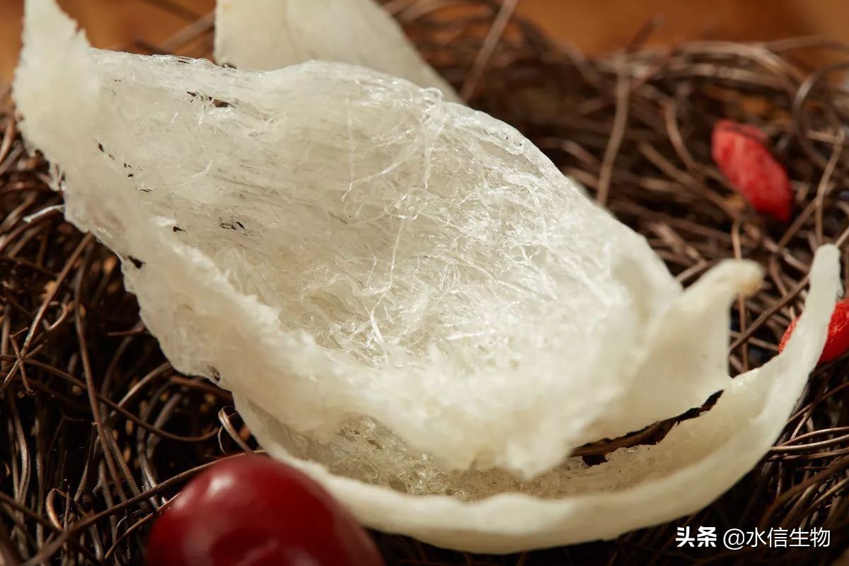 燕窝蚕丝面膜的功效,燕窝蚕丝面膜有什么功效