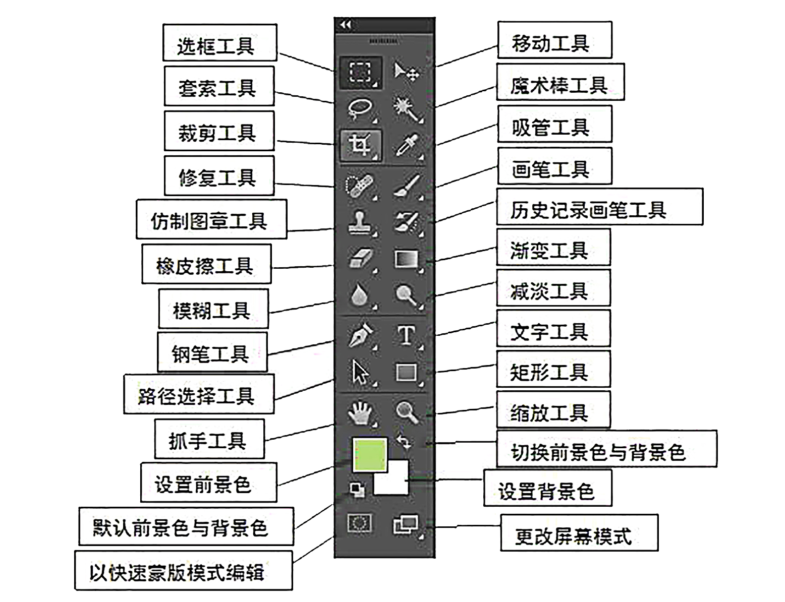 ps基础教程新手入门工具介绍,ps入门教程从零开始学工具