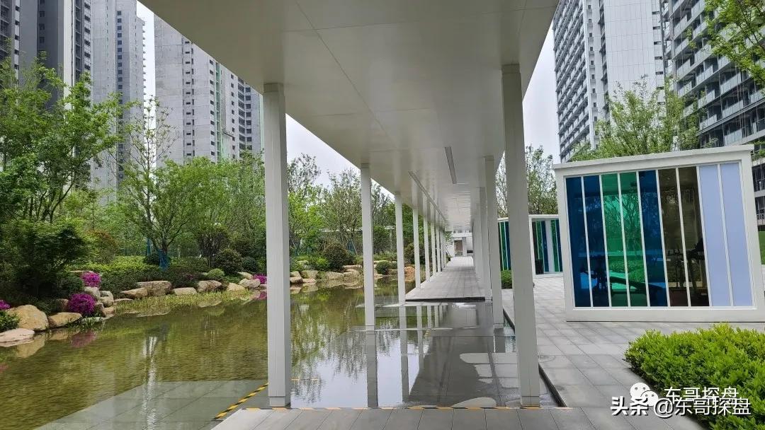 万万没想到，他捅了郑州刚需盘的“窗户纸”
