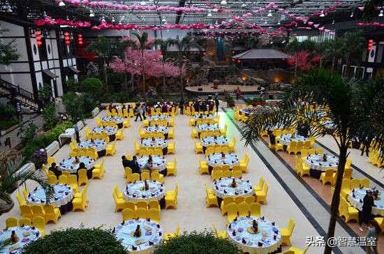 温室大棚生态餐厅合法吗,大棚绿色生态餐厅设计