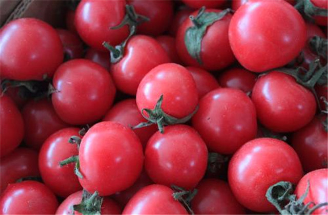 樱桃番茄规格有哪些,樱桃番茄有什么特点