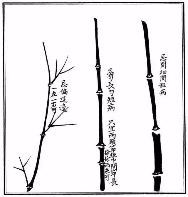 不会绘画怎么画,不会画画如何画草图
