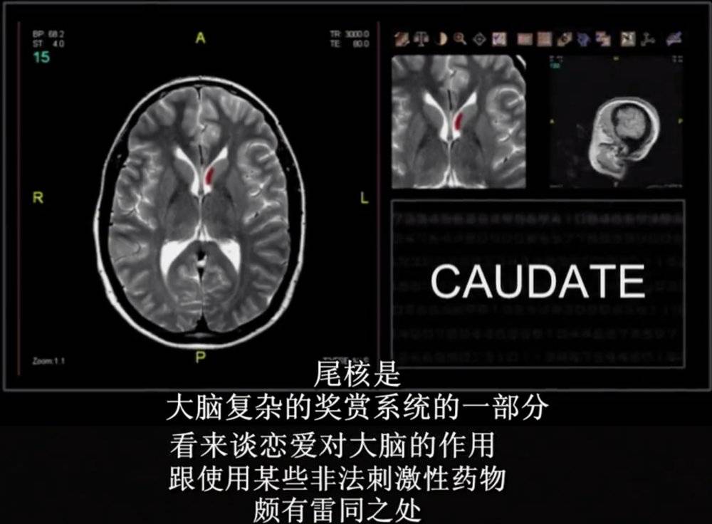 艺荐|恋爱“有毒”，“中毒”能解