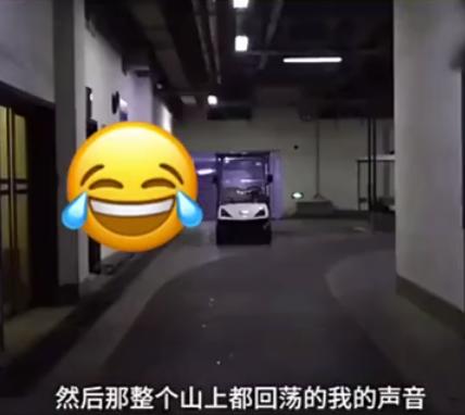 外卖龙虾段子搞笑,外卖的虾是不是都是冻虾