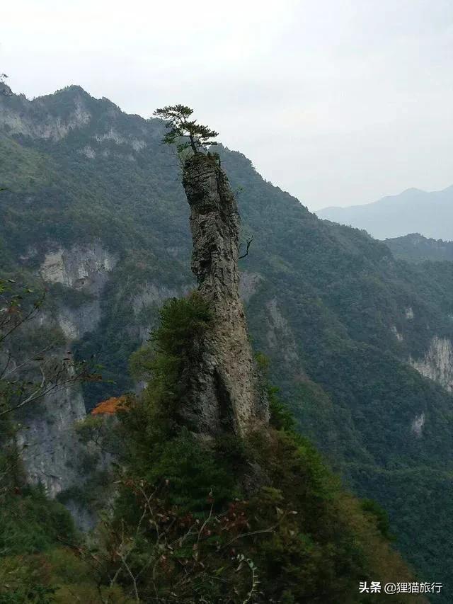 万源秦川锁,四川万源是处于秦岭吗