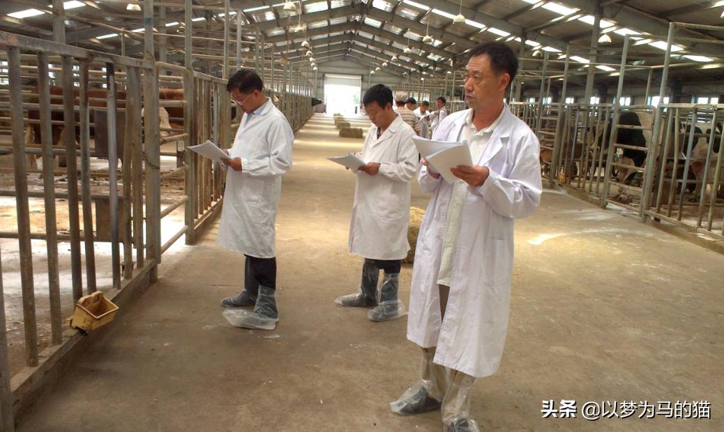 理科生十大对口率最高的专业,对口就业率最高的十大专业