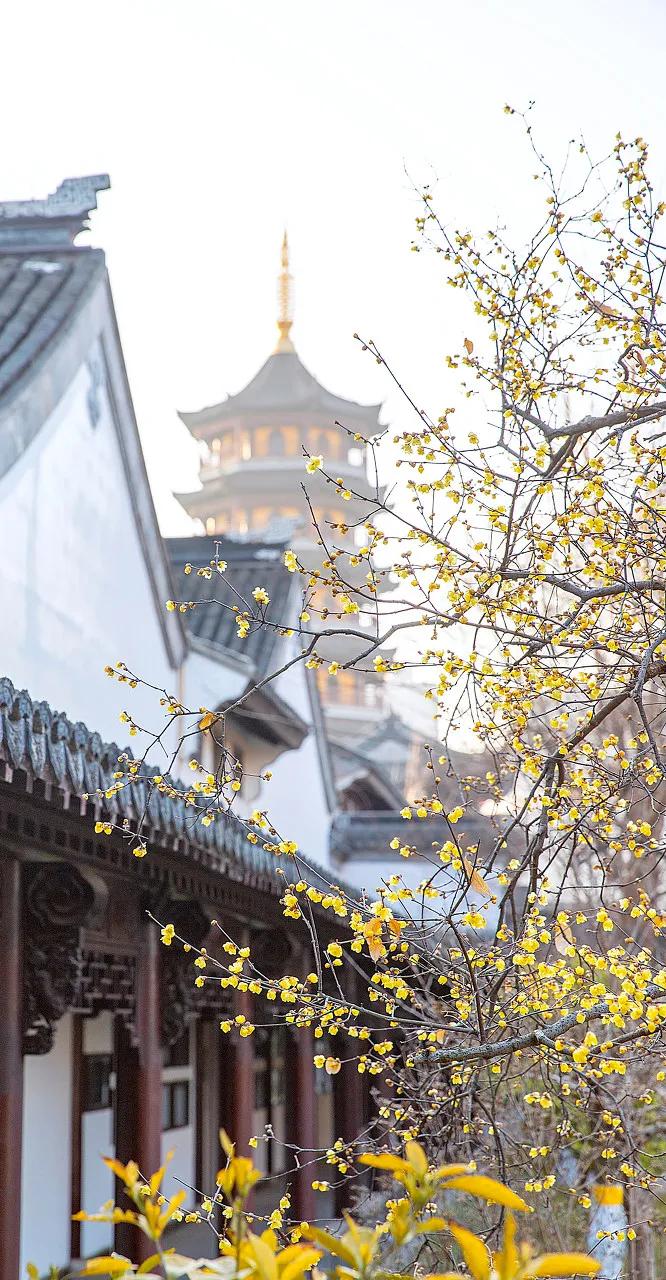泰州中国最幸福的城市,泰州哪里比扬州好