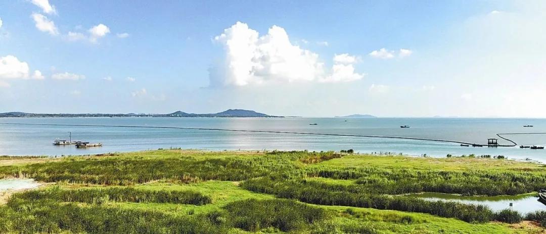 合肥长江东路改造是哪一段,合肥青龙路2021改造计划