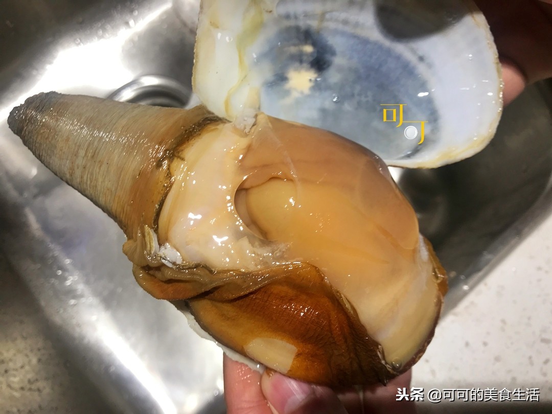 象拔蚌又好吃又好用,象拔蚌怎么吃最简单