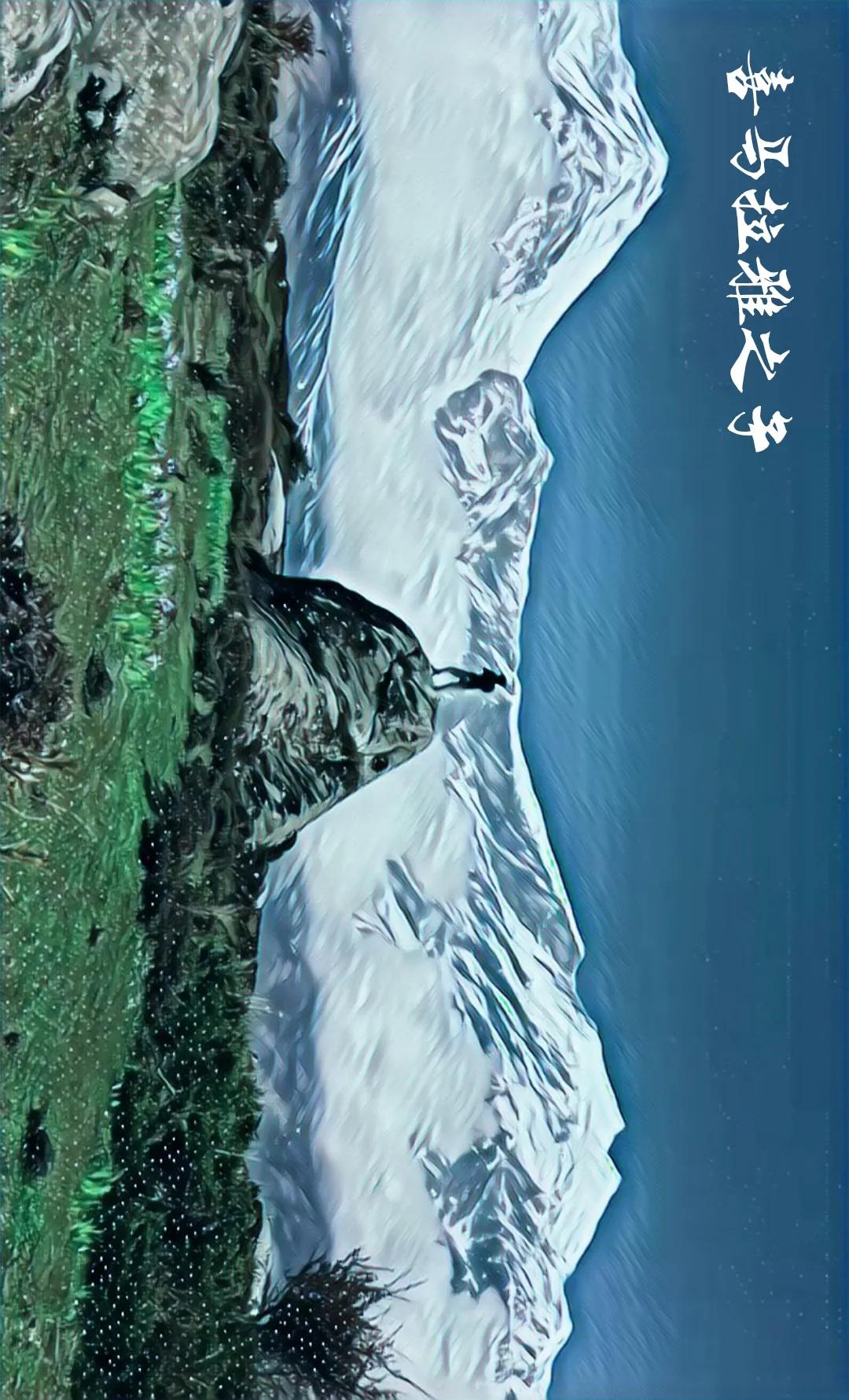 永远的冰川勇士气候英雄，他是喜马拉雅之子*藏西**冒险王