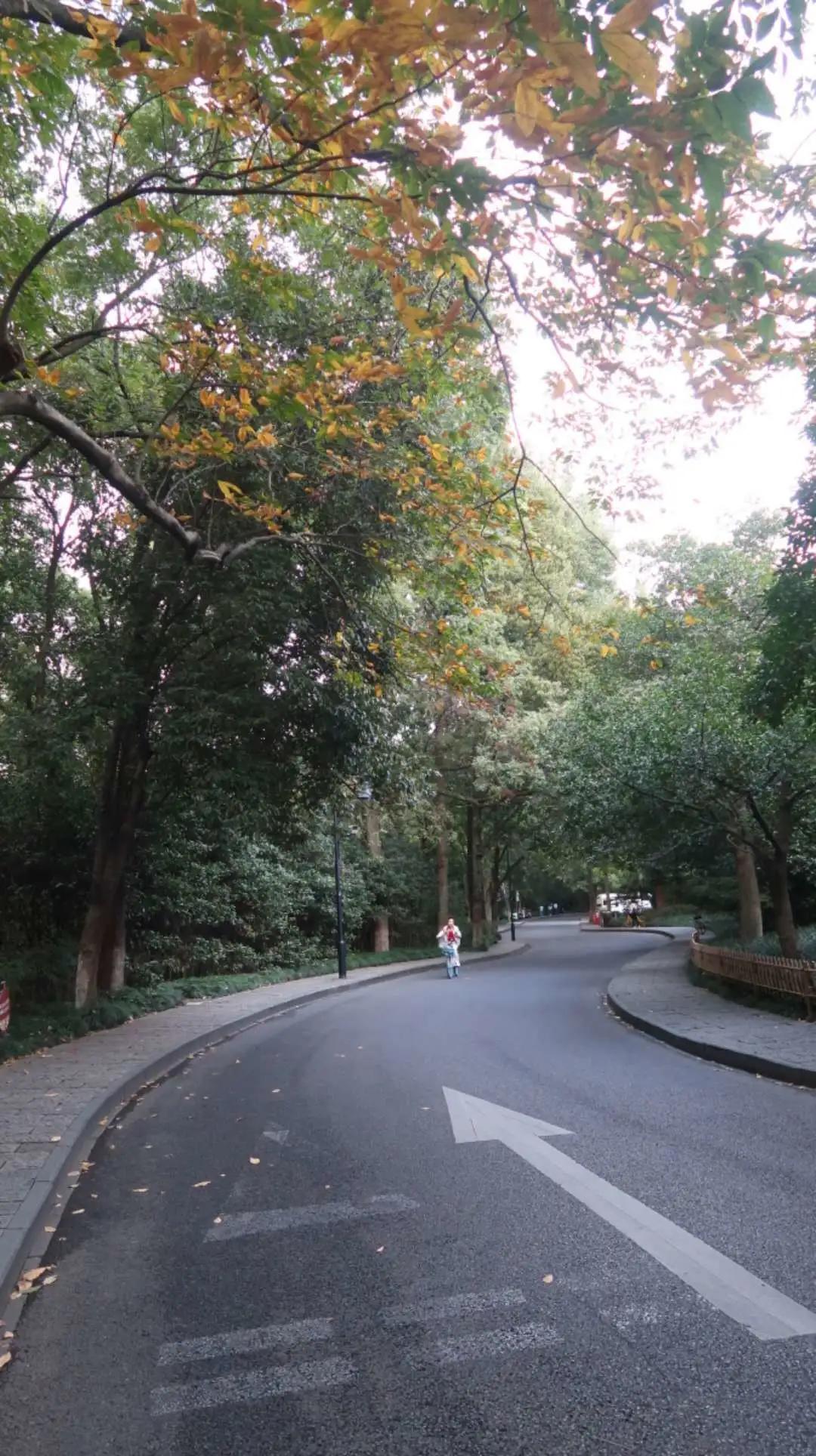 杭州西湖3天2晚自由行攻略,24小时杭州之旅