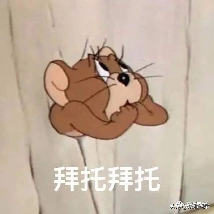 鍗冧嚎璞棬瀛欏コ,鍗冧嚎璞棬瀛欏コ鍚堥泦