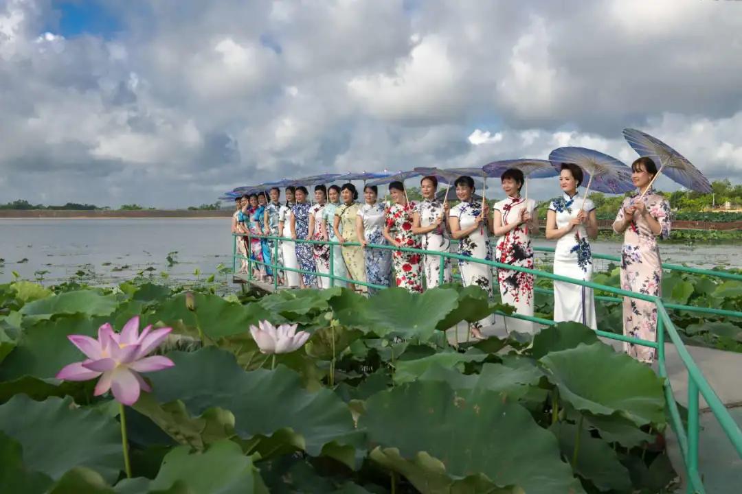 阳春旗袍,旗袍阳春