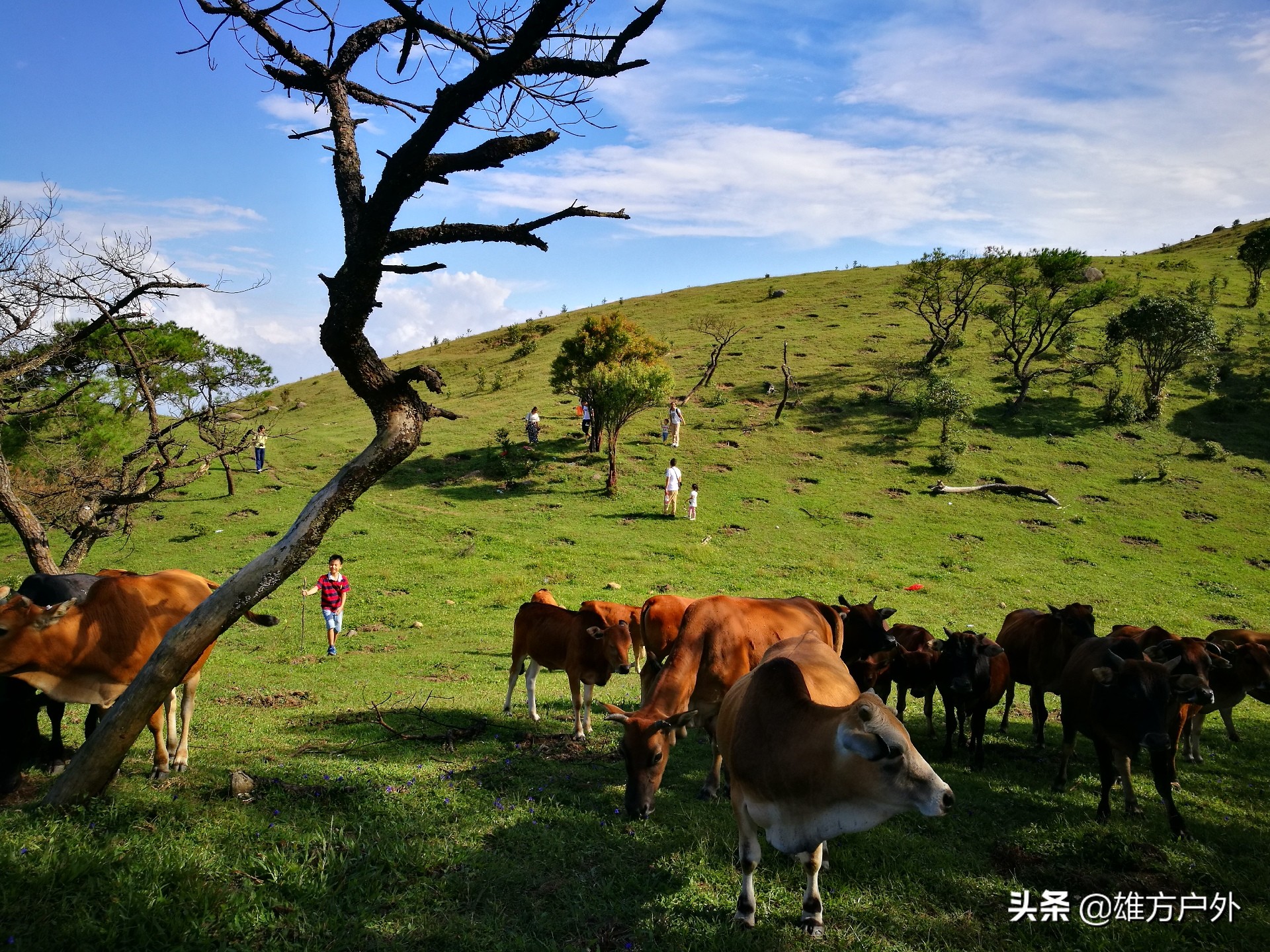 广东最美草原,藏在广东的八大草原