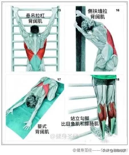 打完球要拉伸有什么作用,松解球怎么松解背部