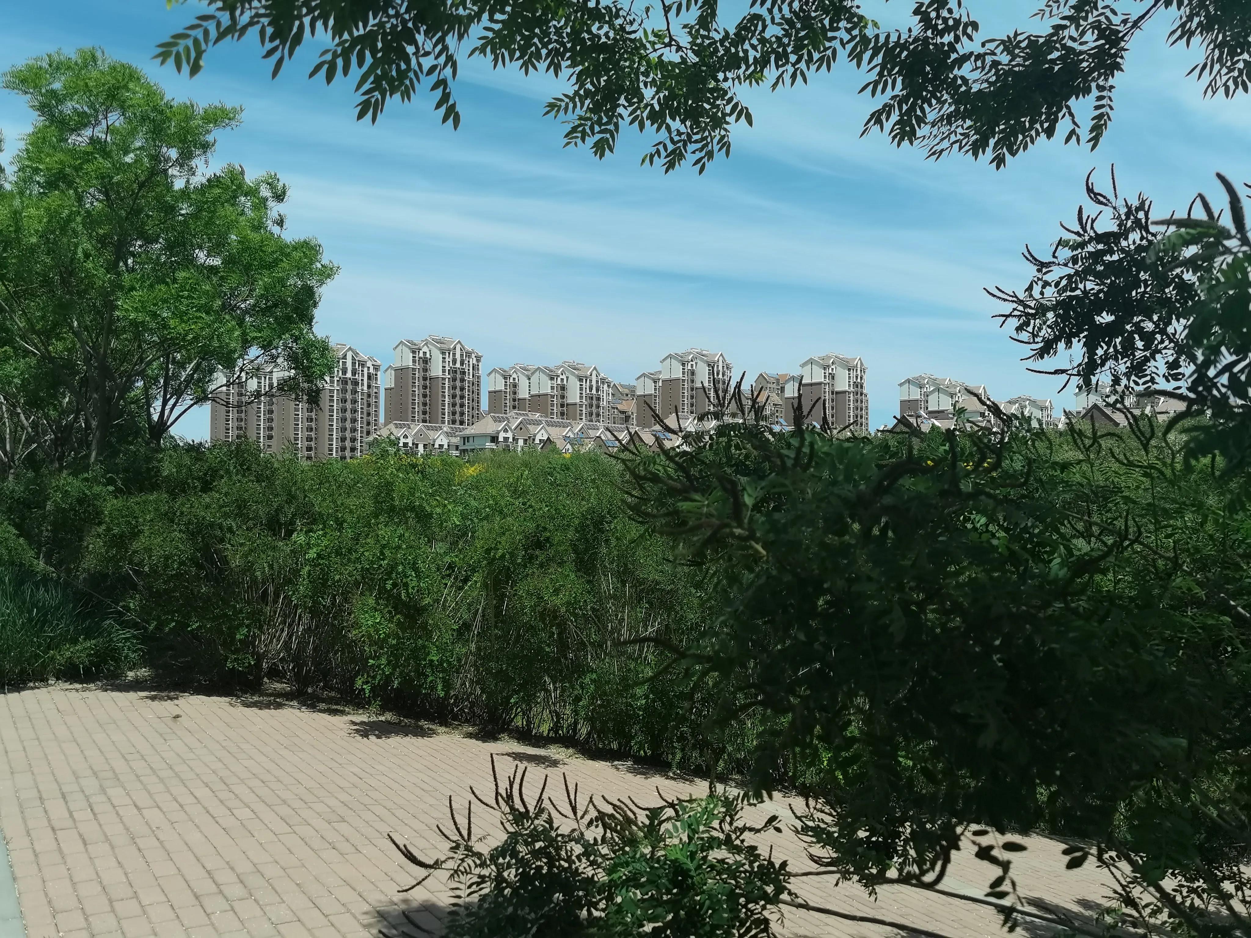 我眼中的美好城市,我眼中的城市是最美的