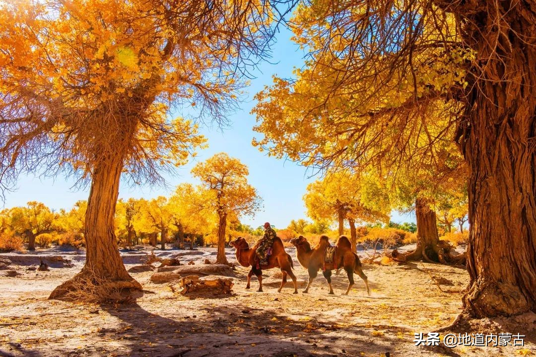 60岁之前要去的十大地方,一生中必去的中国50个最美的地方