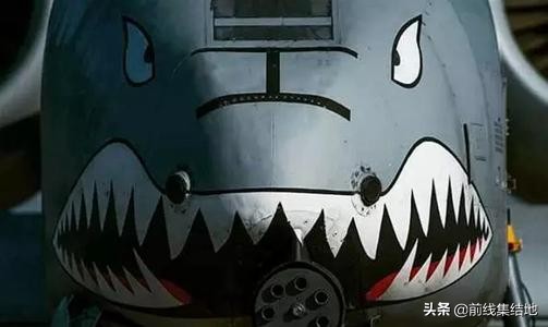 A系列的对地之王，张着大嘴的“海盗”和打不死的“疣猪”