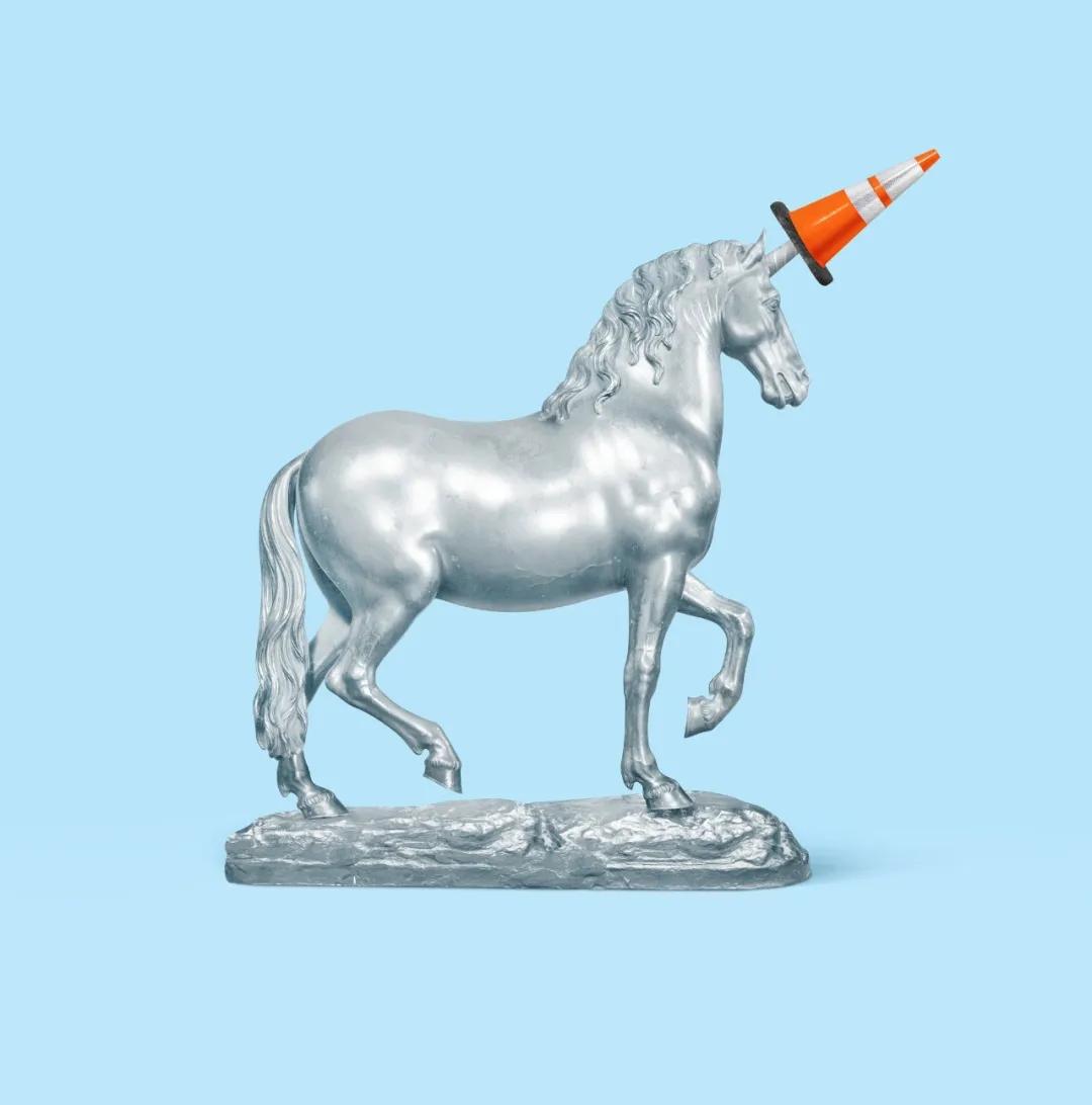 纽约时报去年的文章,纽约时报年度最佳图书