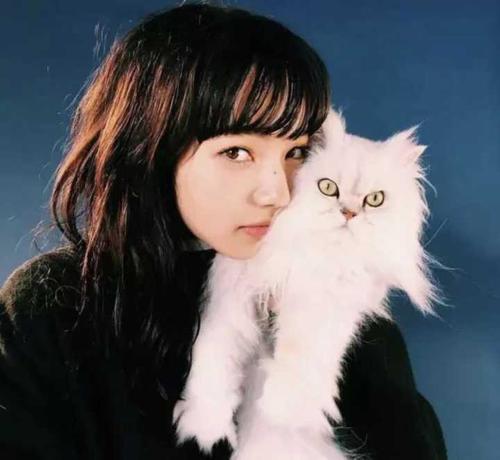 美女日推写真之日本小姐姐比美