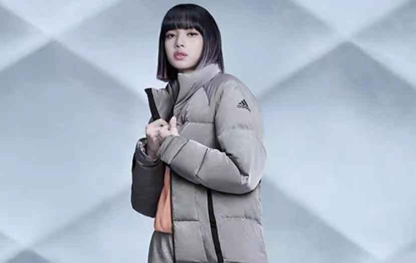 加拿大鹅好看的款,一万多的加拿大鹅羽绒服