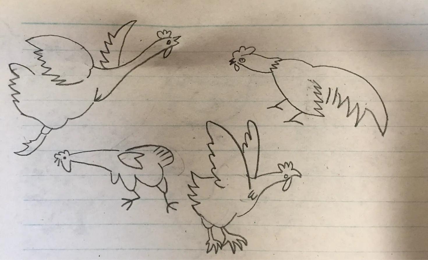 母鸡带小鸡简笔画,公鸡母鸡简笔画