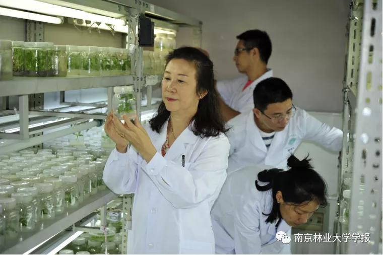 论文推荐||欧美杨PdMODD基因克隆与表达特性分析