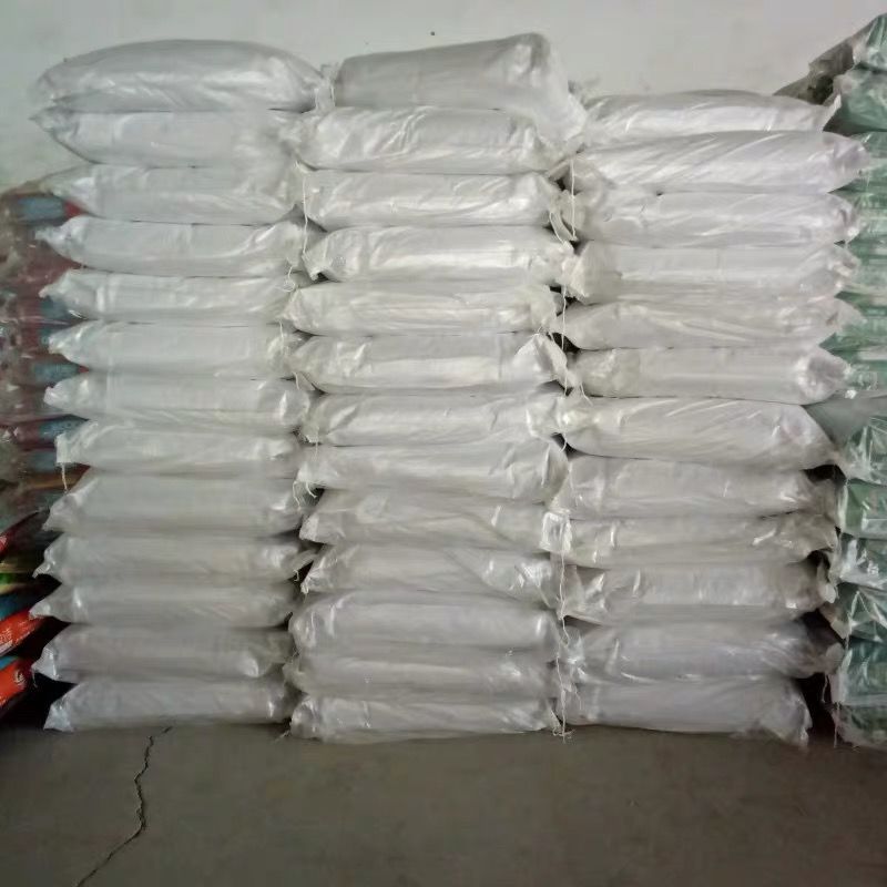 有一种幸福叫猫狗双全,猫狗双全的人生