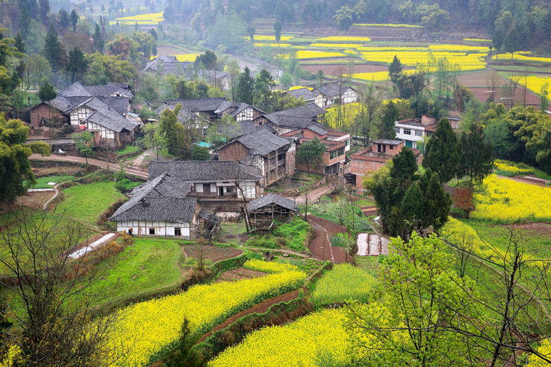 巴中古镇景点排行榜,四川巴中最红古镇